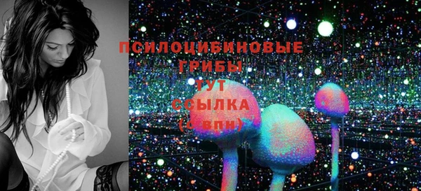 спиды Алексеевка